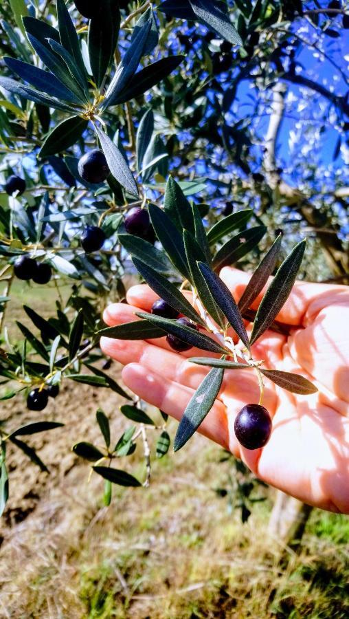 קיאנצ'נו טרמה Agriturismo Casa Rossa מראה חיצוני תמונה